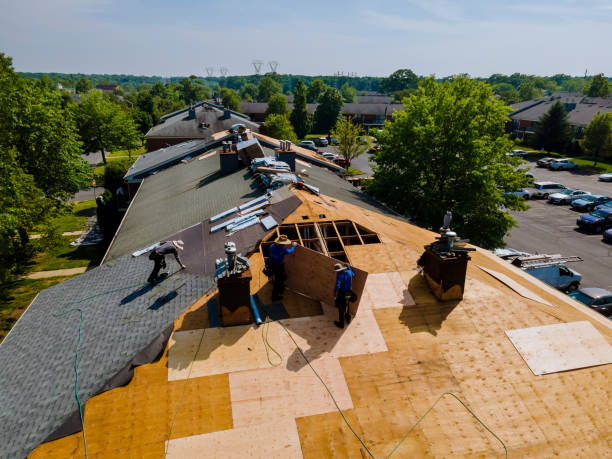 Quick and Trustworthy Emergency Roof Repair Services in Robertsdale, AL