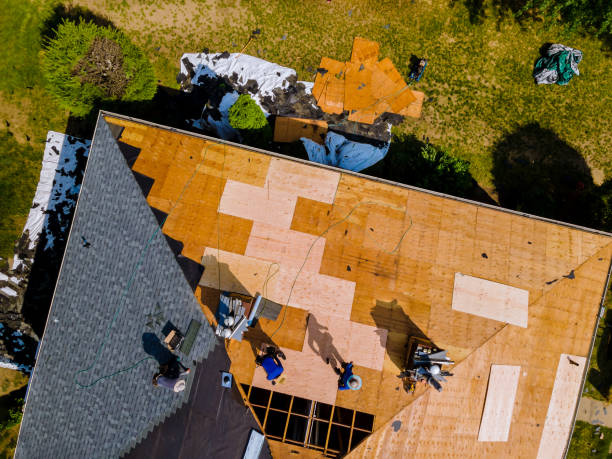 Best Storm Damage Roof Repair  in Robertsde, AL