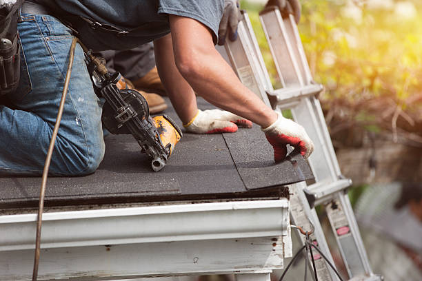 Gutter Installation and Roofing in Robertsdale, AL
