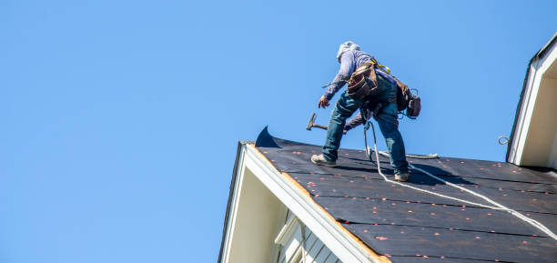 Best Roof Leak Repair  in Robertsde, AL